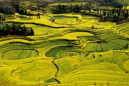 Photographer: 17s@Dreamstime